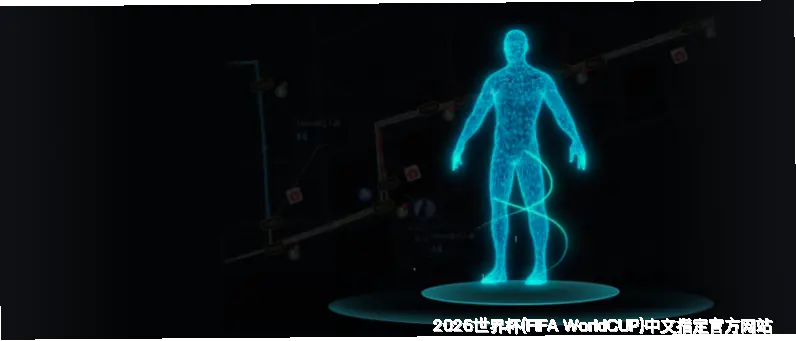 历史命中率与回测验证